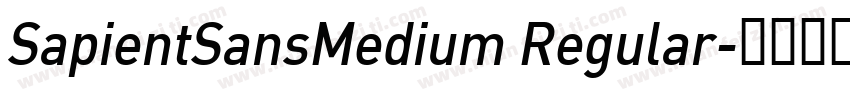SapientSansMedium Regular字体转换